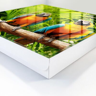 Boîte à clés decorative Oiseaux tropicaux
