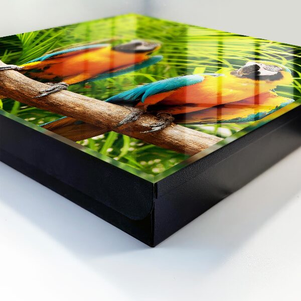 Boîte à clés decorative Oiseaux tropicaux