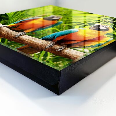 Boîte à clés decorative Oiseaux tropicaux