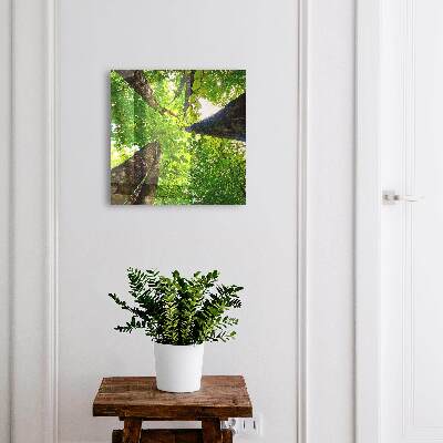 Boîte à clés decorative Ciel de la forêt