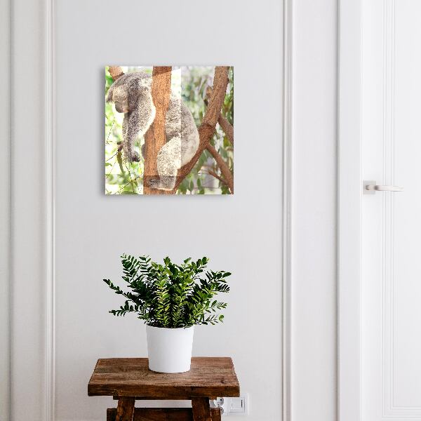 Armoire à clés murale Koala Relaxation
