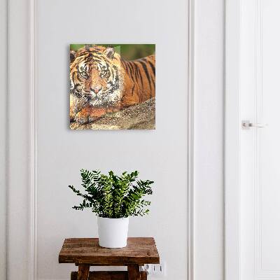 Boîte à clés decorative Le tigre se repose.