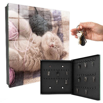 Boîte à clés decorative Chaton endormi