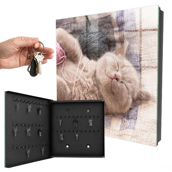 Boîte à clés decorative Chaton endormi