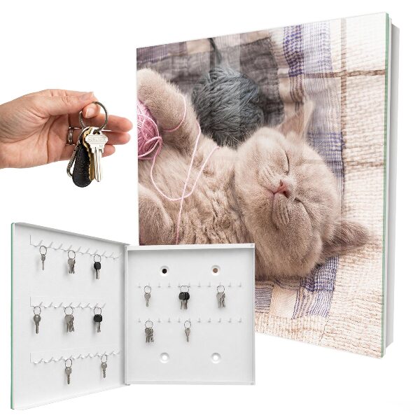 Boîte à clés decorative Chaton endormi