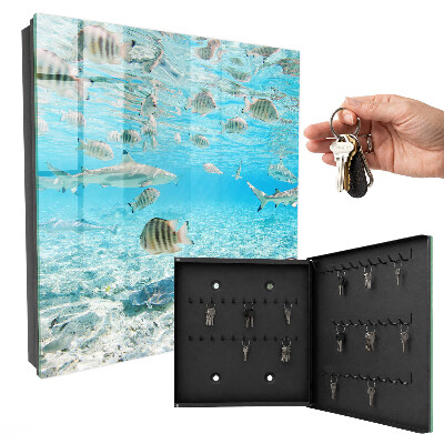 Armoire à clés murale Vie aquatique