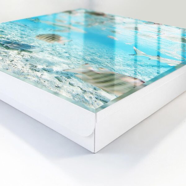 Armoire à clés murale Vie aquatique