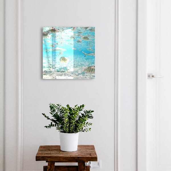 Armoire à clés murale Vie aquatique