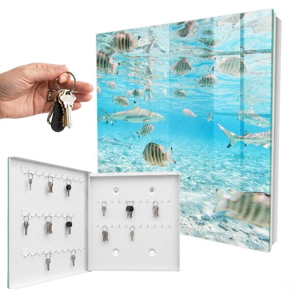 Armoire à clés murale Vie aquatique