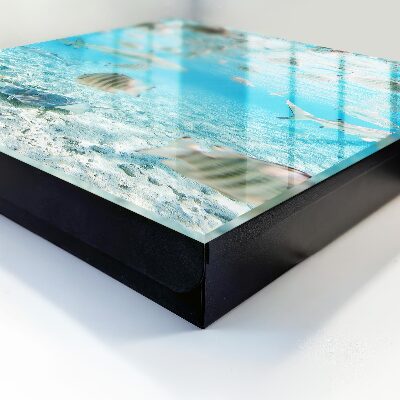 Armoire à clés murale Vie aquatique
