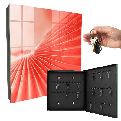 Armoire à clés murale L'énergie de la couleur