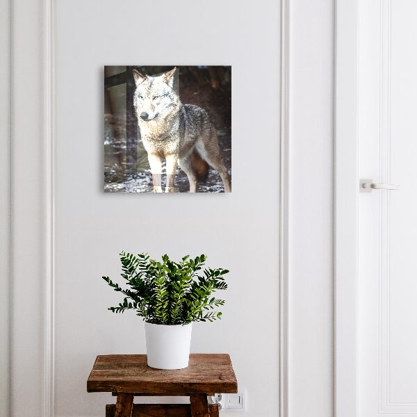 Boîte à clés decorative Loup dans la forêt