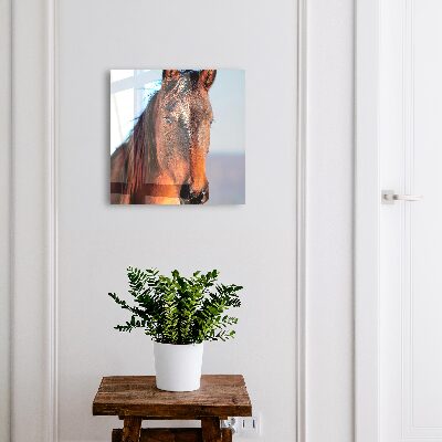 Armoire à clés murale Portrait d'un cheval