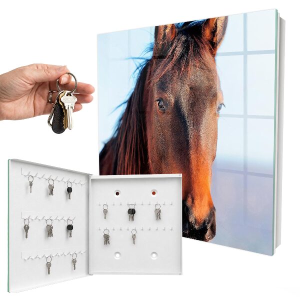 Armoire à clés murale Portrait d'un cheval