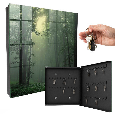 Armoire à clés murale Brouillard forestier