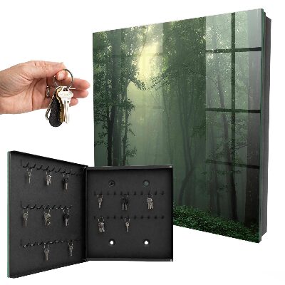 Armoire à clés murale Brouillard forestier