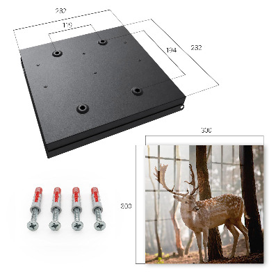 Armoire à clés murale Cerfs dans la forêt
