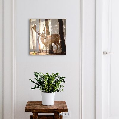 Armoire à clés murale Cerfs dans la forêt