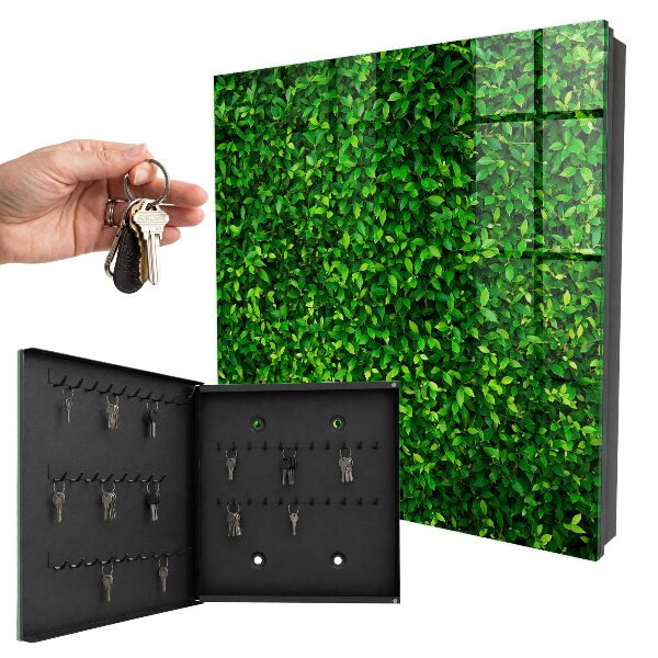 Armoire à clés murale Jardin vert