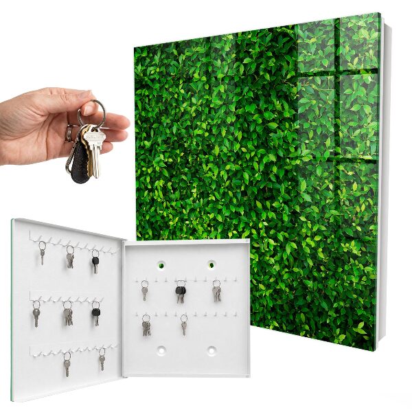 Armoire à clés murale Jardin vert