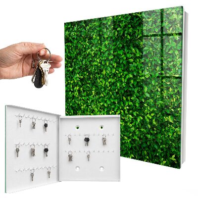 Armoire à clés murale Jardin vert