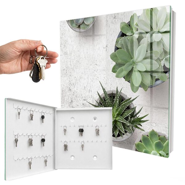 Boîte à clés decorative Plantes succulentes vertes