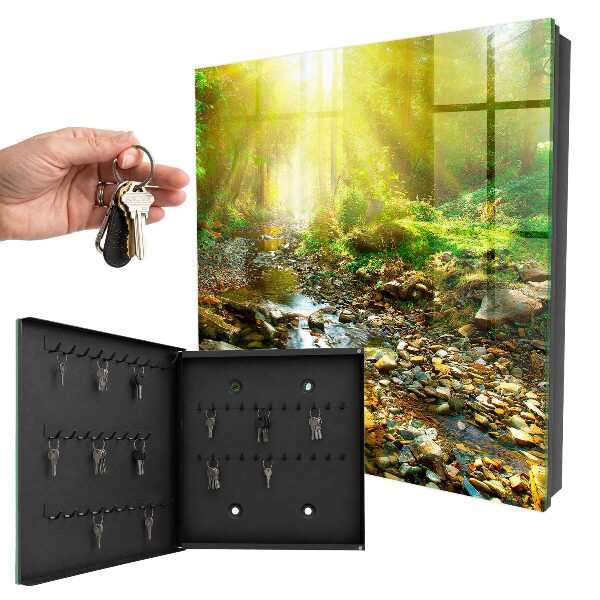 Armoire à clés murale Ruisseau forestier