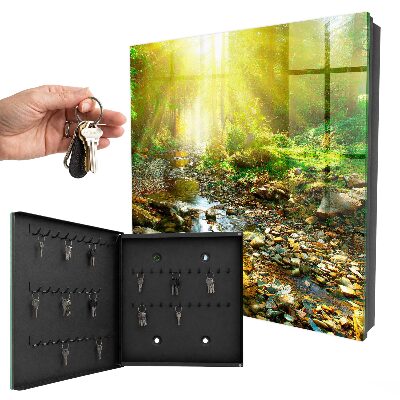 Armoire à clés murale Ruisseau forestier