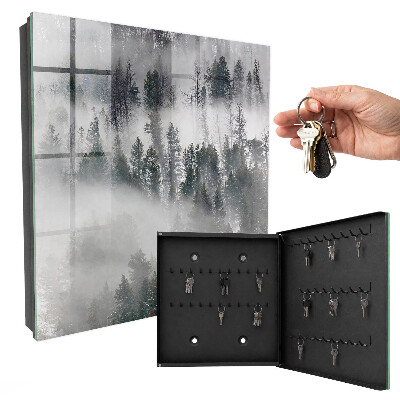 Armoire à clés murale Vert brumeux