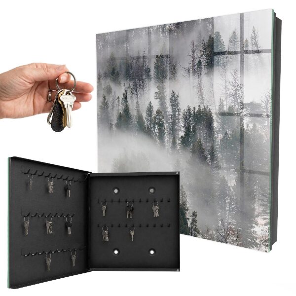 Armoire à clés murale Vert brumeux