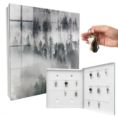 Armoire à clés murale Vert brumeux