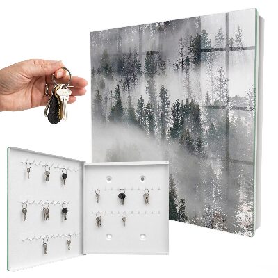 Armoire à clés murale Vert brumeux