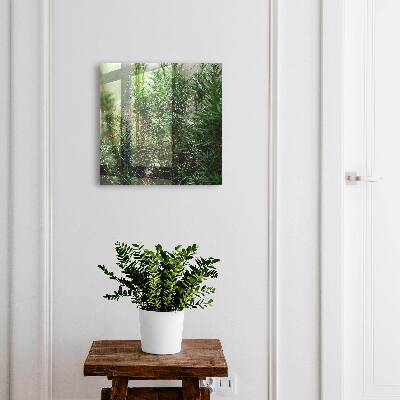 Armoire à clés murale Toile d'araignée dans la forêt