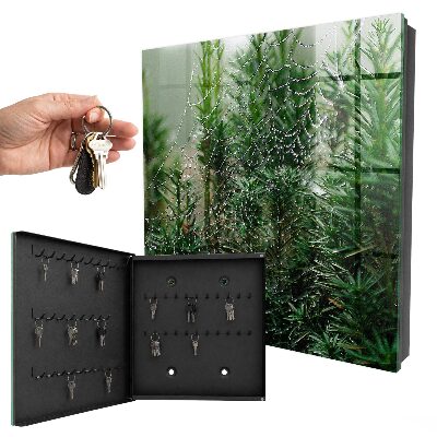 Armoire à clés murale Toile d'araignée dans la forêt