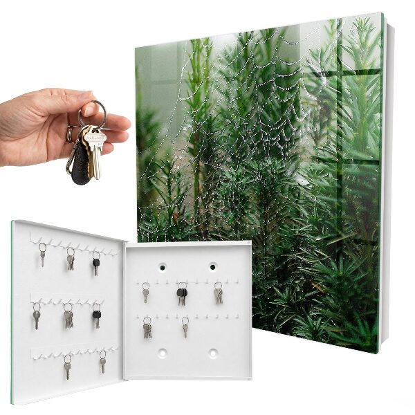 Armoire à clés murale Toile d'araignée dans la forêt