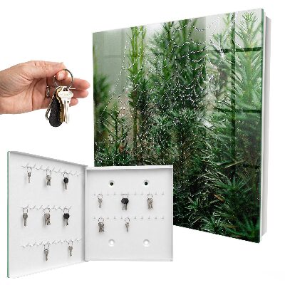 Armoire à clés murale Toile d'araignée dans la forêt