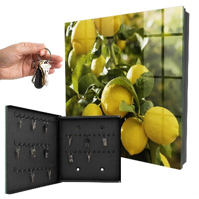 Armoire à clés murale Fraîcheur juteuse