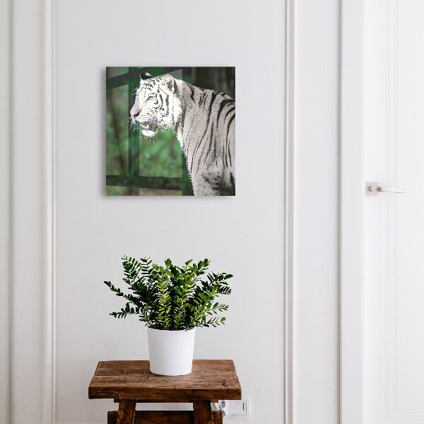 Boîte à clés decorative Tigre blanc