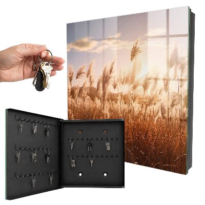Armoire à clés murale Coucher de soleil dans l'herbe