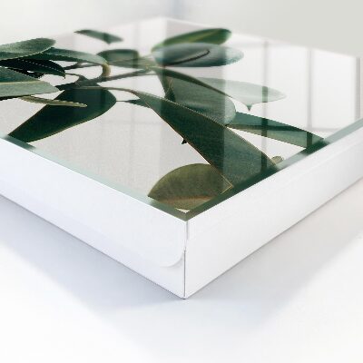 Boîte à clés decorative Feuilles de ficus