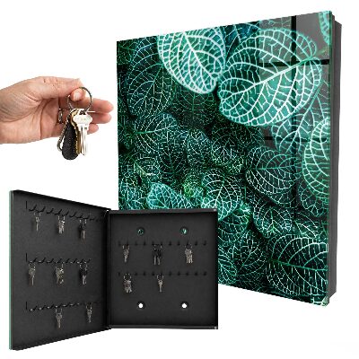 Armoire à clés murale Motifs verts
