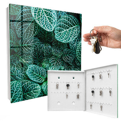 Armoire à clés murale Motifs verts