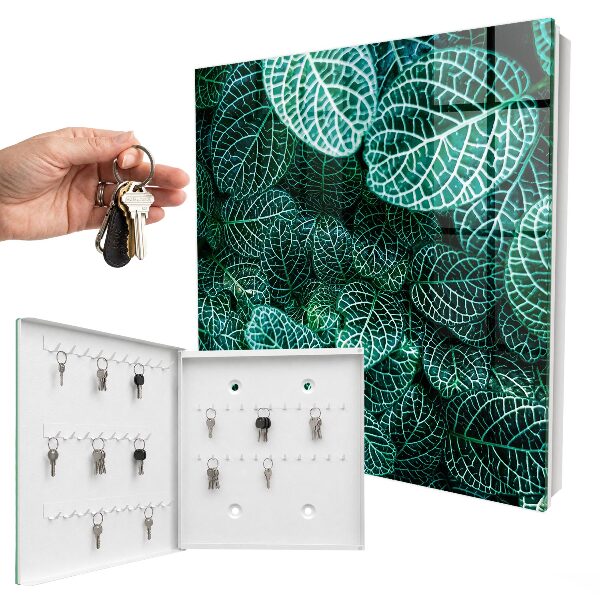 Armoire à clés murale Motifs verts