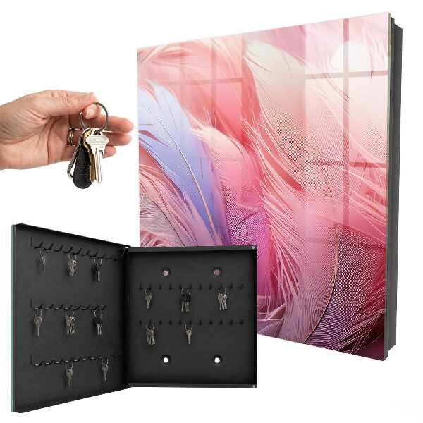 Armoire à clés murale De magnifiques plumes roses