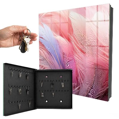 Armoire à clés murale De magnifiques plumes roses