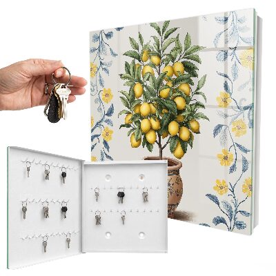 Armoire à clés murale Citronnier