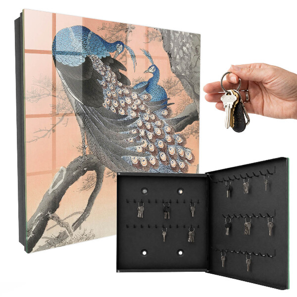 Armoire à clés murale La beauté du paon