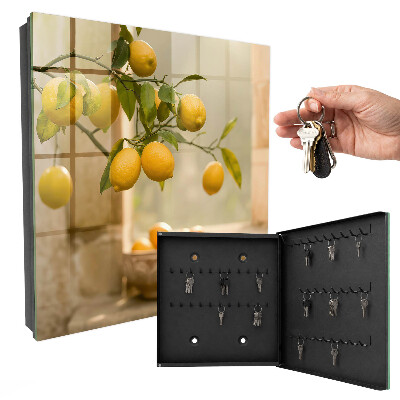 Armoire à clés murale La magie du citron