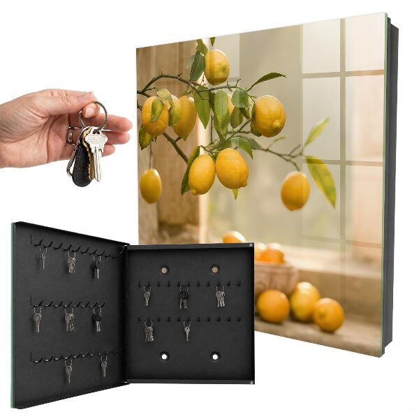 Armoire à clés murale La magie du citron