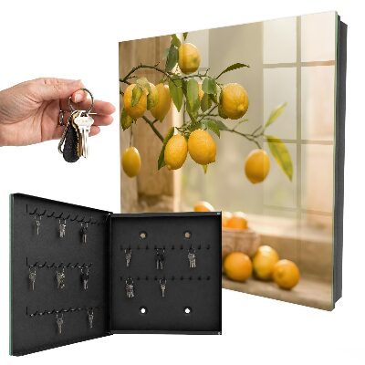 Armoire à clés murale La magie du citron